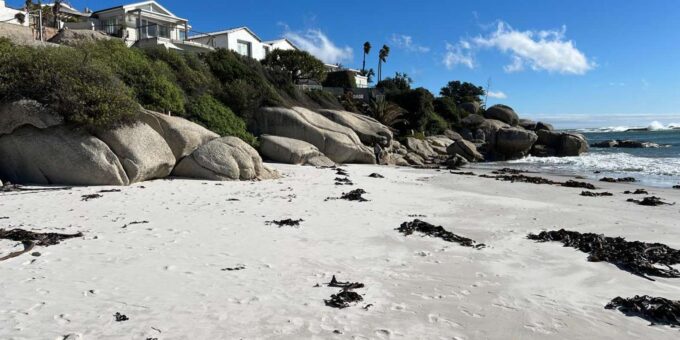 Full-Day Private Cape Town's Most Beautiful Beaches Tour - Cancellation and Refund Policy