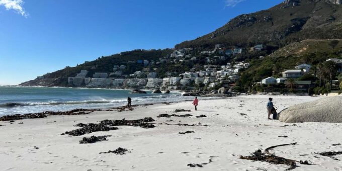 Full-Day Private Cape Town's Most Beautiful Beaches Tour - Booking and Availability