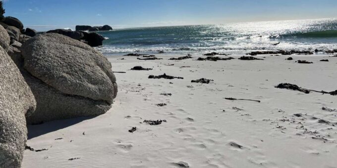 Full-Day Private Cape Town's Most Beautiful Beaches Tour - Frequently Asked Questions