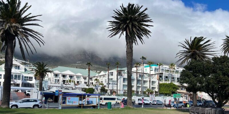 Full-Day Private Cape Town's Most Beautiful Beaches Tour - Itinerary Highlights