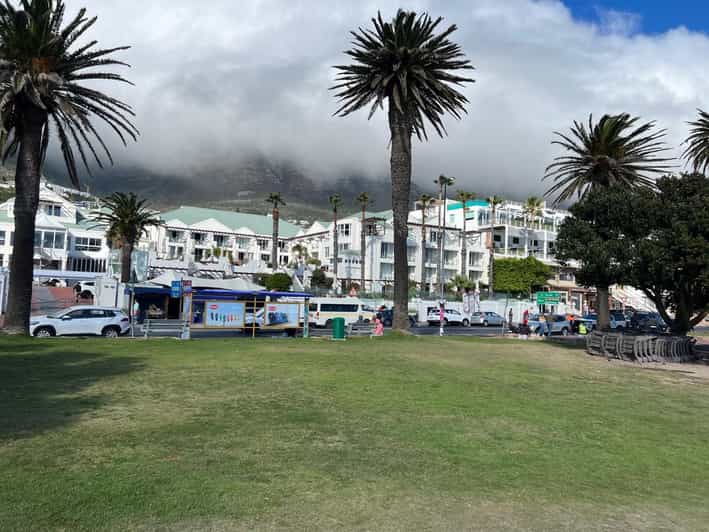 Full-Day Private Cape Town's Most Beautiful Beaches Tour - Transportation and Logistics
