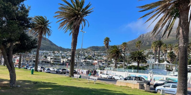 Full-Day Private Cape Town's Most Beautiful Beaches Tour - Inclusions and Amenities