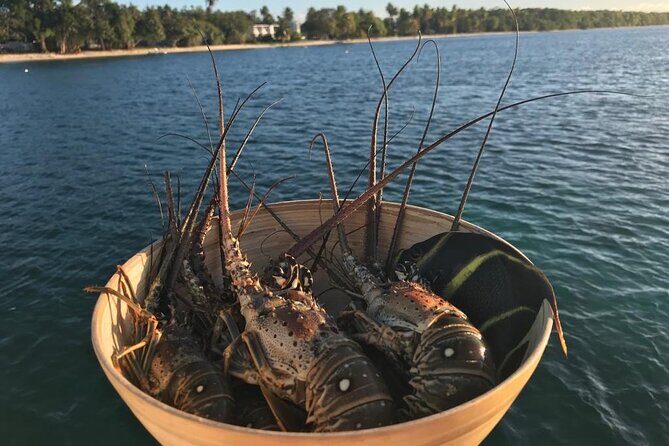 Full-Day Private Catamaran, Turks and Caicos Cruise - FAQs