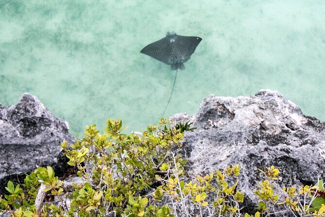 Full Day Private Charter - Final Thoughts