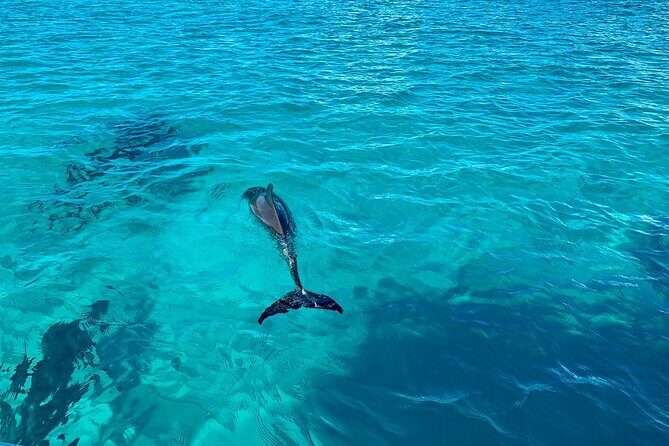 Full Day Private Charter Tour Turks and Caicos - What’s Included & What’s Not