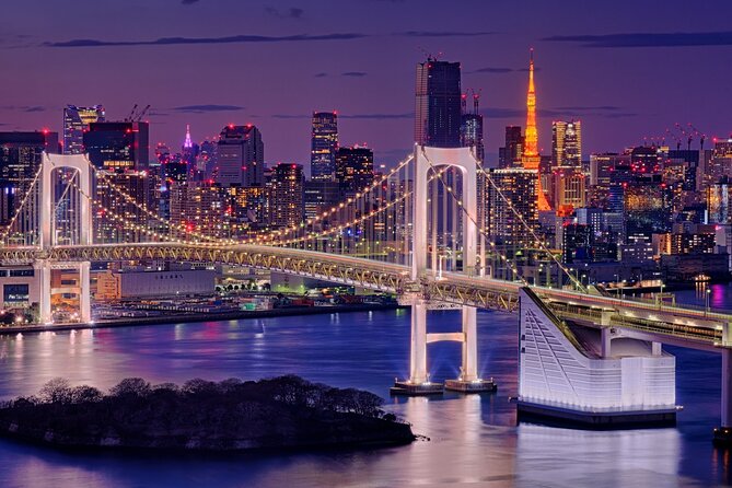 Full Day Private Day Trip in Tokyo City - Good To Know