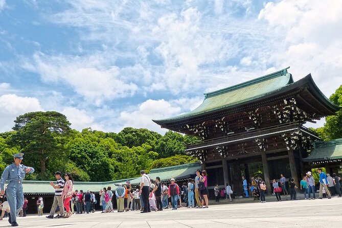Full Day Private Day Trip in Tokyo City - Accessibility and Participation