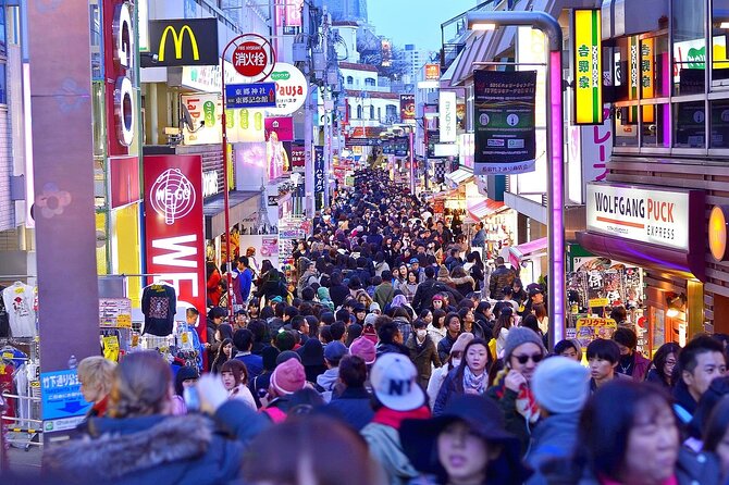 Full Day Private Day Trip in Tokyo City - Highlights and Insights