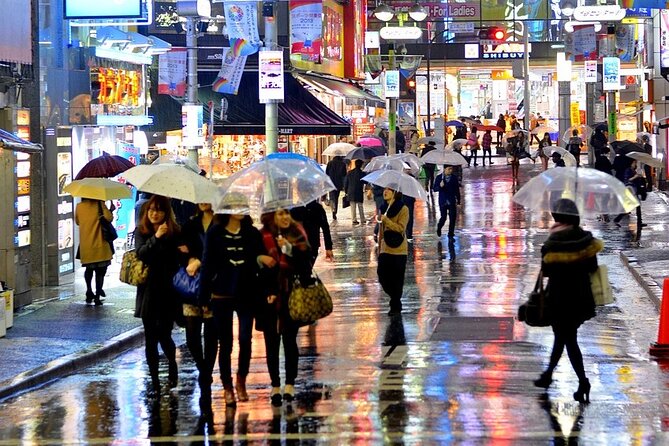Full Day Private Day Trip in Tokyo City - Booking and Reservations