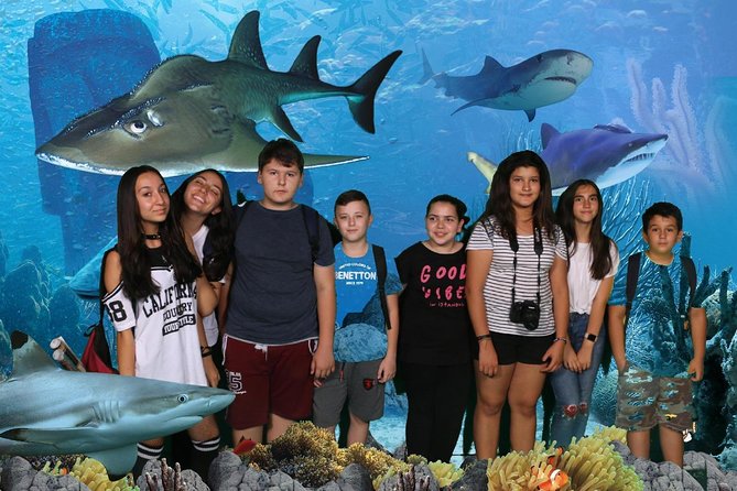 Full-Day Private Fun Cultural Guided Tour of London for Kids - Pickup and Meeting Point