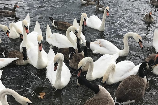 Full-Day Private Fun Cultural Guided Tour of London for Kids - Accessibility and Requirements