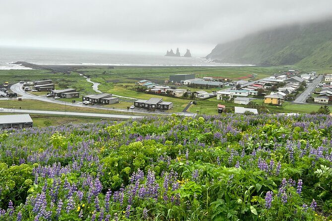 Full-Day Private Guided Tour in South Coast, Iceland - Who Should Consider This Tour?