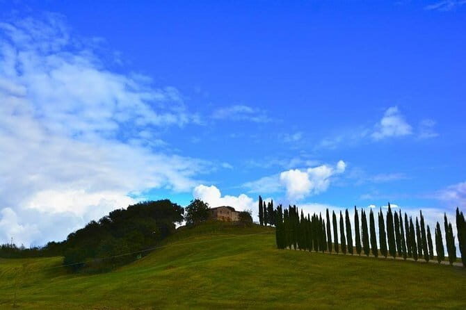 Full Day PRIVATE Guided Tour in Val D'Orcia Region - Final Thoughts