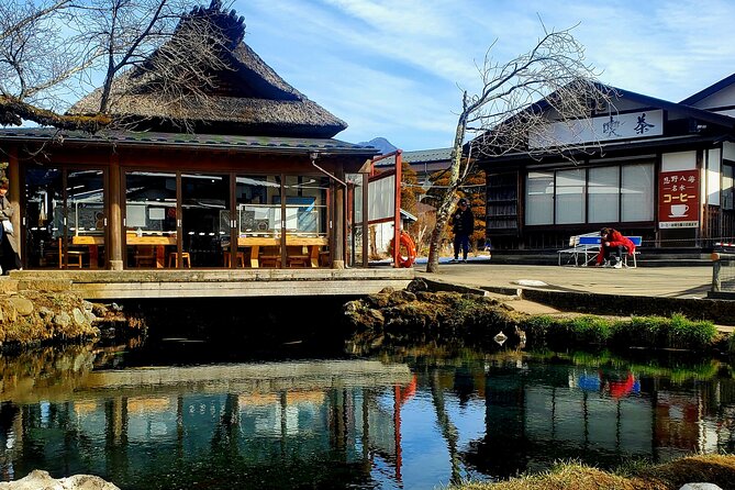 Full Day Private Guided Tour Mt. Fuji and Hakone - Pricing and Booking