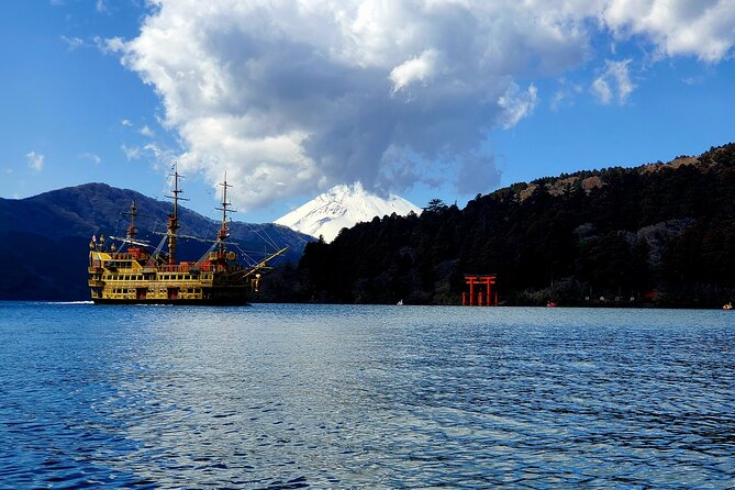 Full Day Private Guided Tour Mt. Fuji and Hakone - Reviews