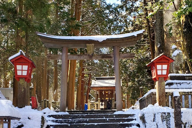 Full Day Private Guided Tour Mt. Fuji and Hakone - Tour Highlights
