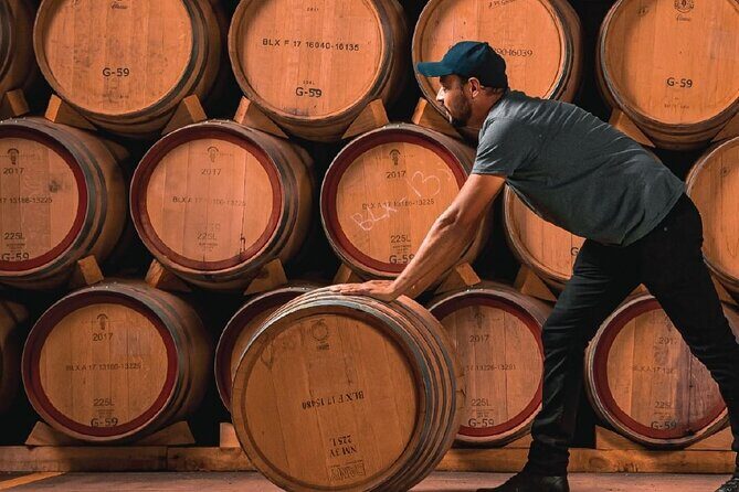 Full Day Private Guided Tour of Arandas Jalisco Distilleries - An In-Depth Look at the Tour Experience