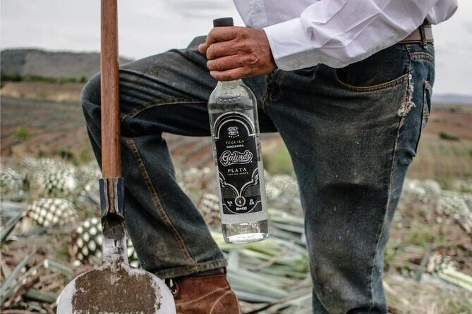 Full Day Private Guided Tour of Arandas Jalisco Distilleries - Who Would Love This Tour?