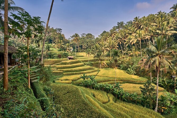 Full Day Private Guided Tour to Bali - Tour Exclusions