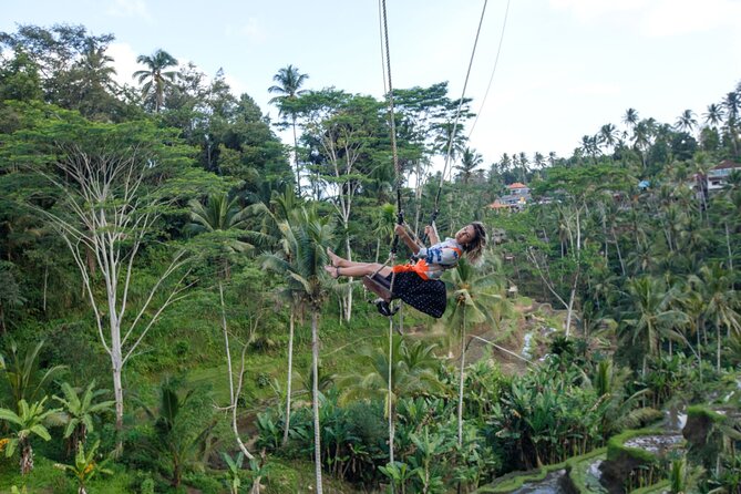 Full Day Private Guided Tour to Bali - Pickup and Drop-off Locations