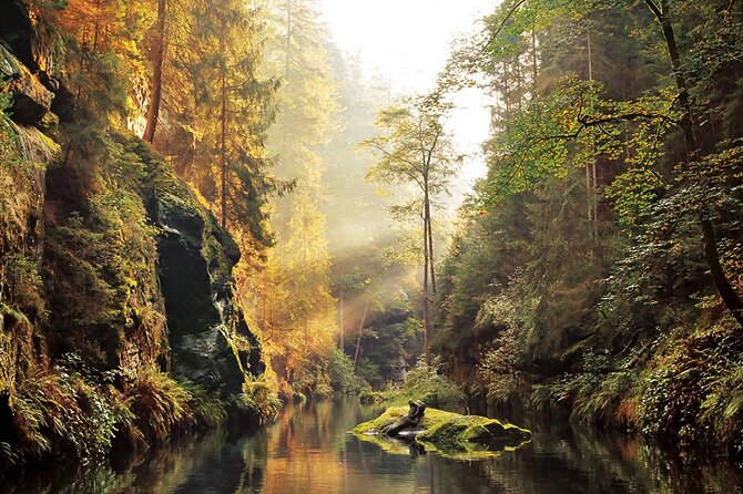 Full-Day Private Hike in Czechia and Saxon Switzerland - Accessibility and Policies