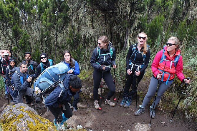Full Day Private Hiking Tour to Kilimanjaro Mountain - Marange Gate Hike