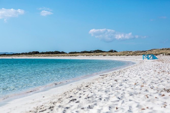 Full-Day Private Ibiza and Formentera Charter Cruise - Customer Reviews