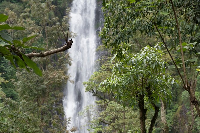 Full Day Private Materuni Waterfall and Kikuletwa Hot Spring Tour - Pricing Information