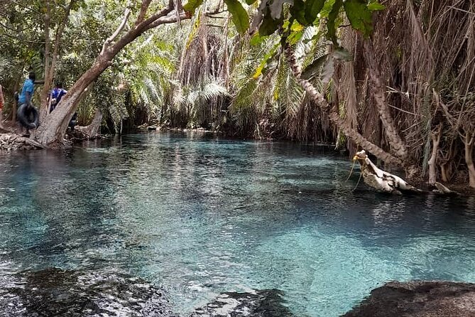 Full Day Private Materuni Waterfall and Kikuletwa Hot Spring Tour - Recommended Tips