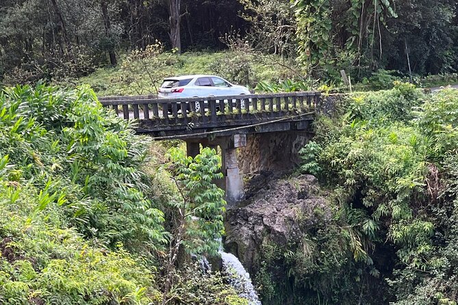 Full Day Private Maui Waterfall, Beach & Hana Tour - Exploring Mauis Waterfalls