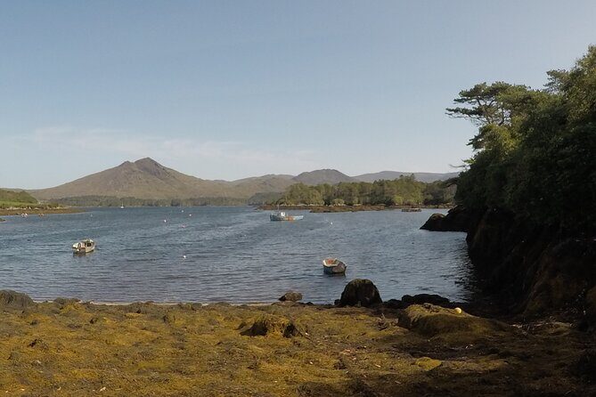 Full-day Private Mizen Head tour from Killarney - The Value and Cost Consideration