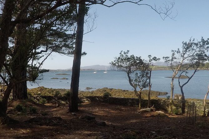 Full-day Private Mizen Head tour from Killarney - Who Would Love This Tour?