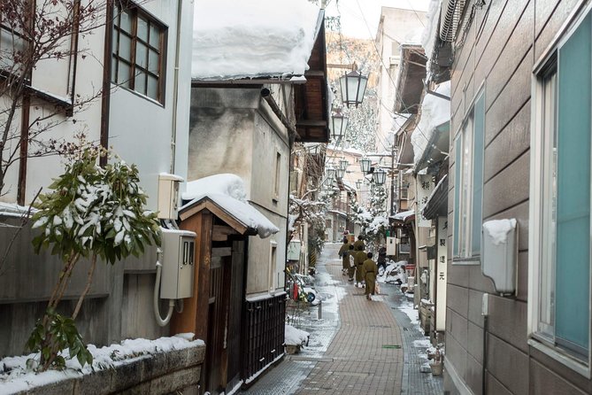 Full-Day Private Nagano Tour: Zenkoji Temple, Obuse, Jigokudani Monkey Park - Getting to Nagano
