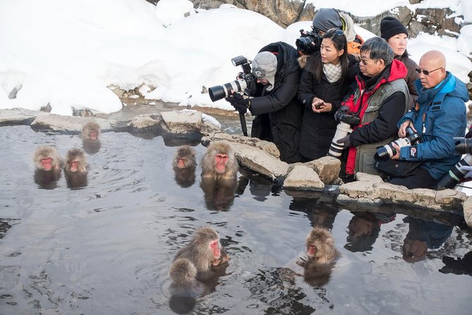 Full-Day Private Nagano Tour: Zenkoji Temple, Obuse, Jigokudani Monkey Park - Exploring the Town of Obuse