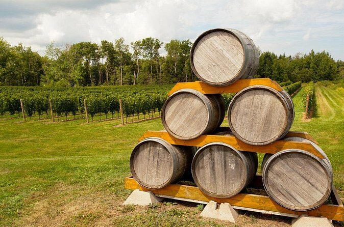 Full-Day Private Nova Scotia Wine Tour from Halifax - Frequently Asked Questions