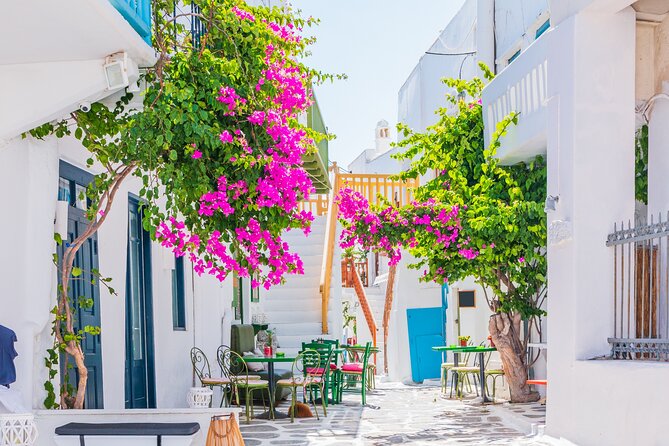 Full Day Private Shore Tour in Mykonos From Mykonos Cruise Port - Tips for Travelers