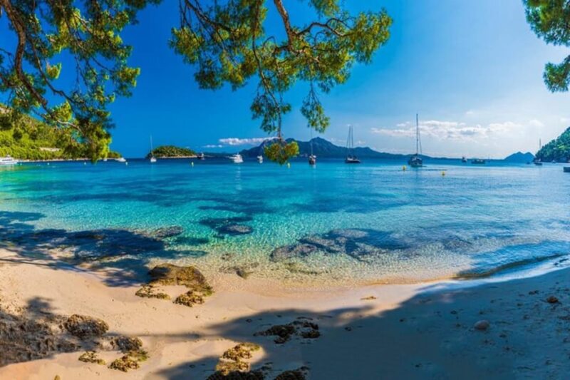 Full Day Private Shore Tour in Palma De Mallorca From Port - Transportation and Pickup