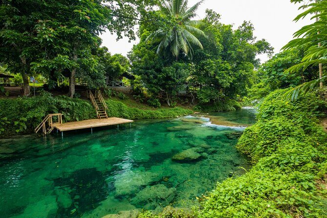 Full Day Private Shore Tour: Taste, Sea & Swim in Port Vila - Key Points