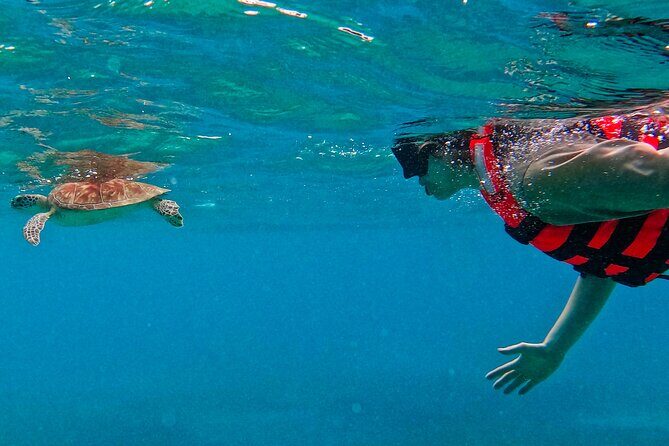 Full-Day Private Snorkel Tour in Tulum and Sian Kaan - The Practical Aspects