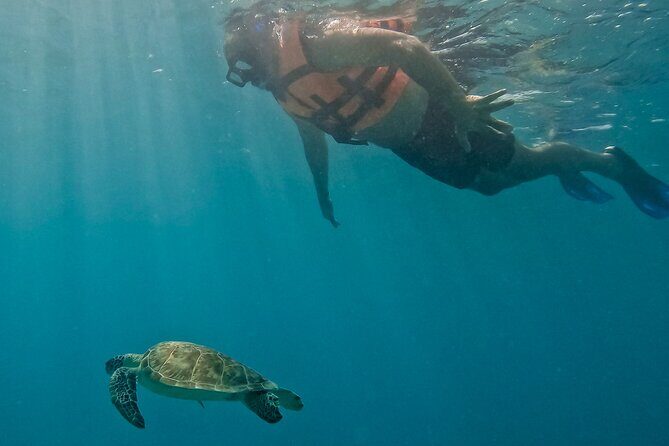 Full-Day Private Snorkel Tour in Tulum and Sian Kaan - Authentic Wildlife Encounters