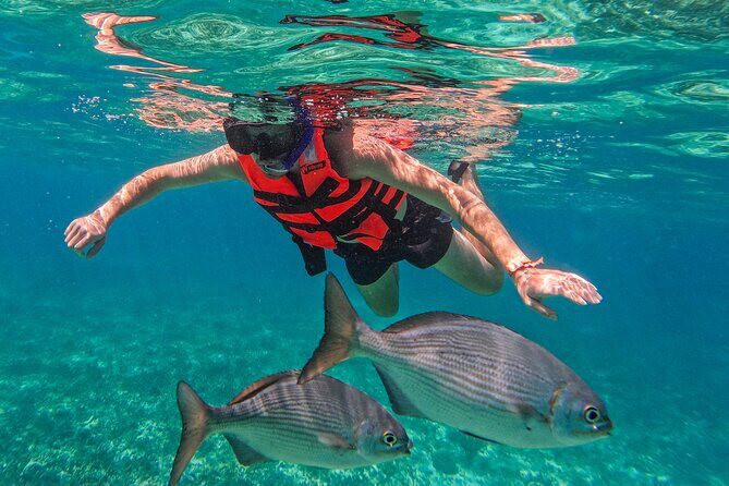 Full-Day Private Snorkel Tour in Tulum and Sian Kaan - Why Choose This Tour?