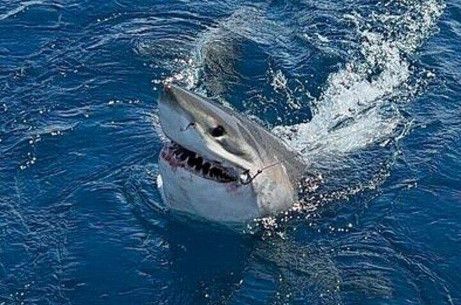 Full Day Private Sportfishing Charter in Fort Lauderdale - Final Words