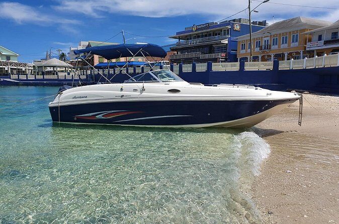 Full-Day Private Stingray City Snorkeling and Starfish Beach Tour - Who Should Book This Tour?