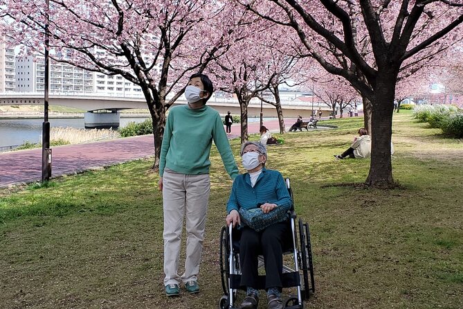 Full Day Private Tokyo Tour for Wheelchair Users - Transportation and Accessibility