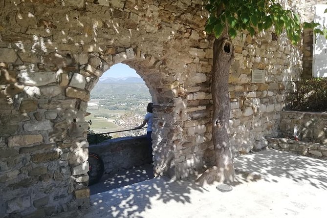 Full-Day Private Toulon Shore Excursion: Aix-en-Provence, Cassis, Calanques - Pricing and Reviews