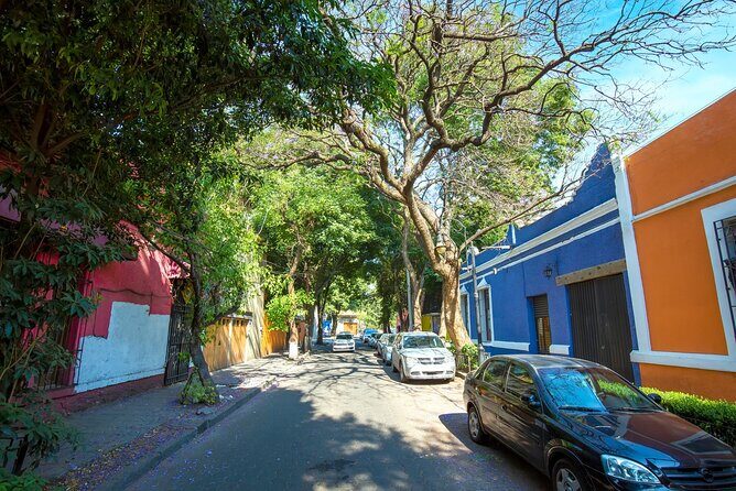 Full-day private tour from Mexico city to Coyoacán - The Sum Up