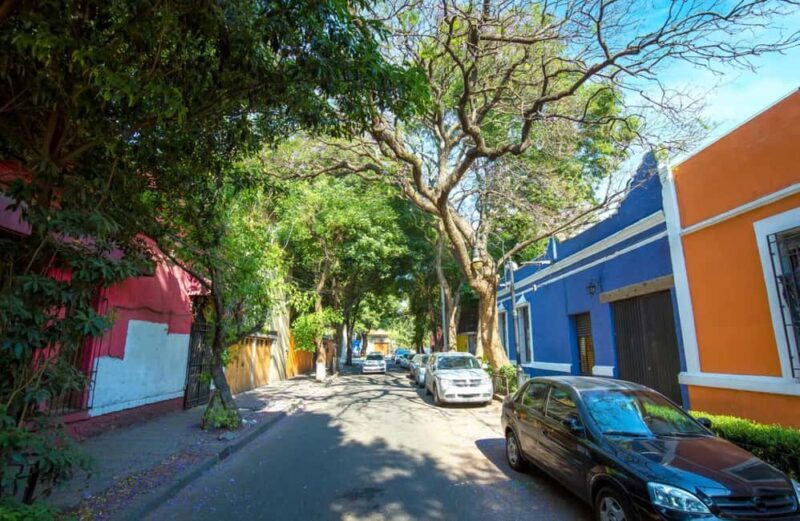 Full-day private tour from Mexico city to Coyoacán - Additional stops and flexibility