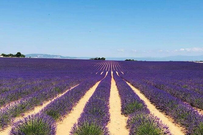 Full-day Private Tour Gorges du Verdon (LAVENDER JUNE 15/JULY 15) - Authentic Experience and Guest Feedback