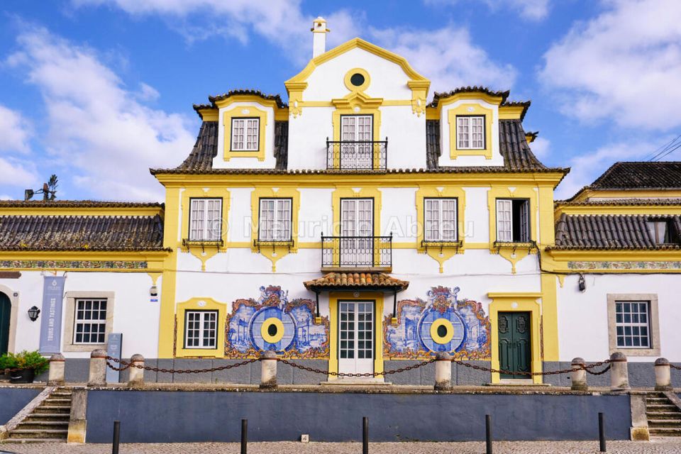 Full-Day Private Tour in Arrábida With Wine Tour From Lisbon - Key Points