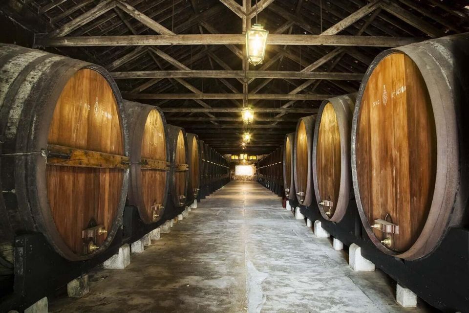Full-Day Private Tour in Arrábida With Wine Tour From Lisbon - Portinho Da Arrábida